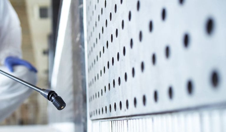 usługi dezynsekcji, usługi DDD, Dolnośląskie, Wrocław, likwidacja