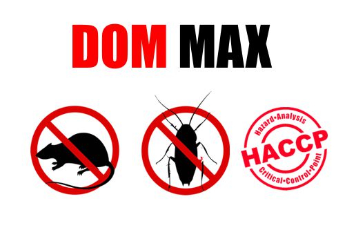 usuwanie gniazd os, szerszeni we Wrocławiu